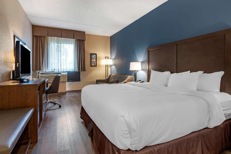 Стандартный Номер Кровать Кинг, Comfort Inn Horsham  Philadelphia