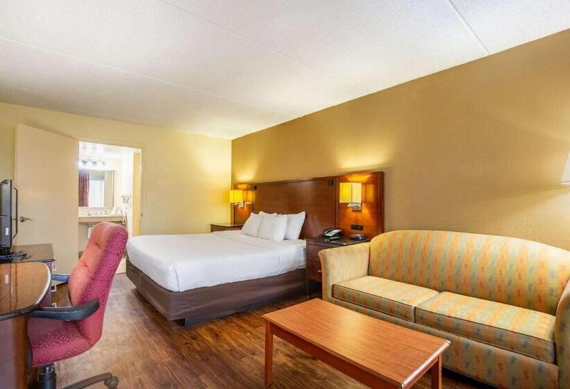 Номер Стандарт Кровать Кинг Адаптированный для Инвалидов, Econo Lodge Naval Station Norfolk