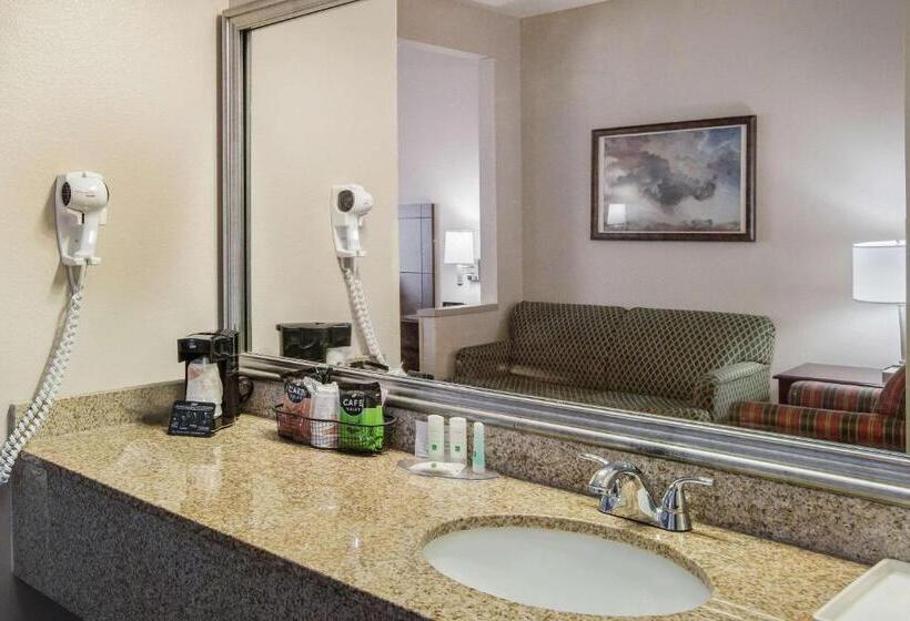 سوئیت با تخت بزرگ, Quality Inn & Suites Lawrence  University Area