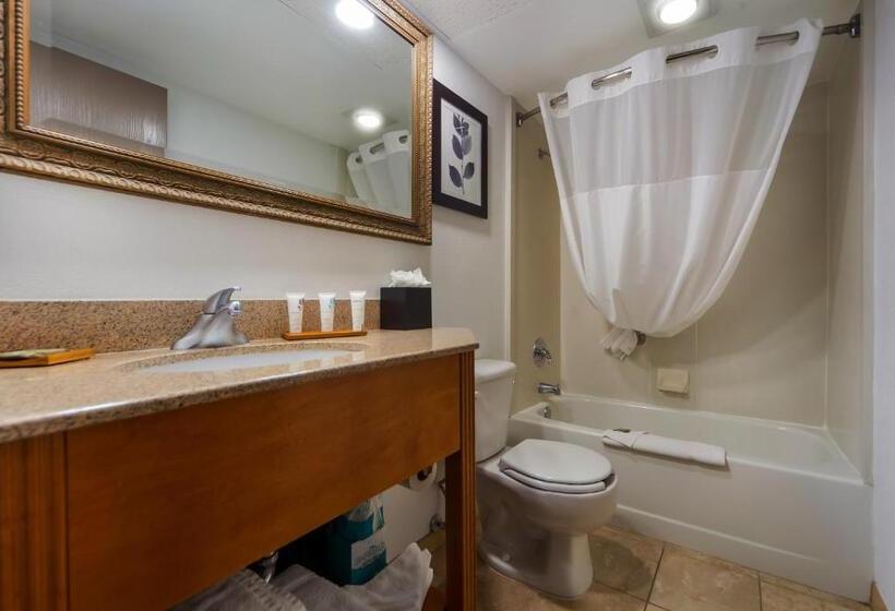 스탠다드 룸 킹사이즈 침대, Country Inn & Suites By Radisson, Lincoln Airport, Ne