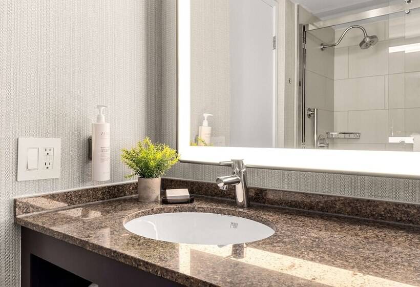 سوییت, Embassy Suites By Hilton Los Angeles Lax South/el Segundo