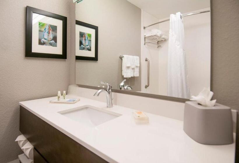 Superior Room, Holiday Inn   New Orleans Airport North, An Ihg