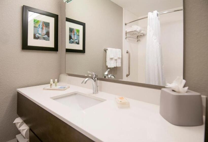 Standard Room Adapted for people with reduced mobility, Holiday Inn   New Orleans Airport North, An Ihg