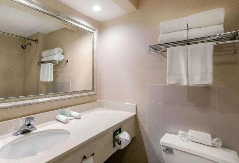 스탠다드 룸 킹사이즈 침대, Quality Inn Edisonnew Brunswick