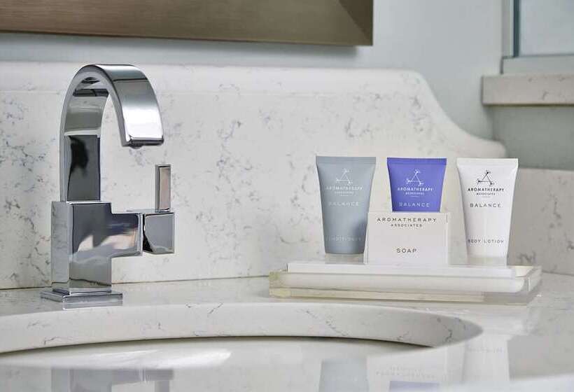 스탠다드 룸 더블 침대 2개, Redmont Hotel Birmingham, Curio Collection By Hilton