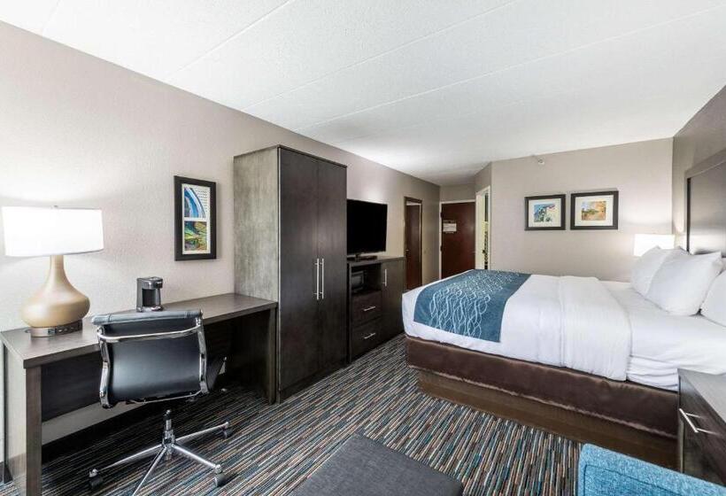 장애인을 위한 킹사이즈 침대 스탠다드 룸, Comfort Inn Chicago Schaumburg  O Hare Airport
