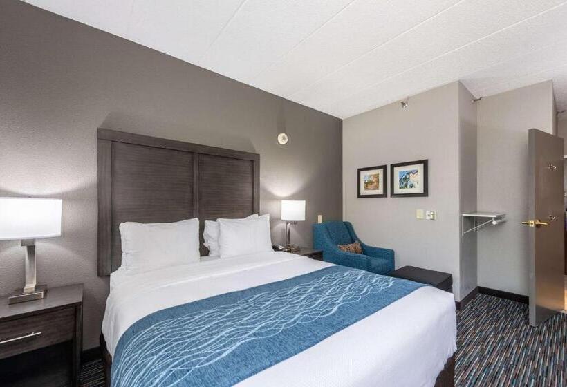 장애인을 위한 킹사이즈 침대 스탠다드 룸, Comfort Inn Chicago Schaumburg  O Hare Airport