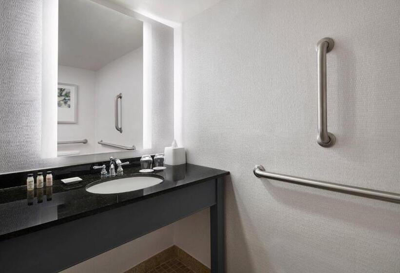 스탠다드 룸 킹사이즈 침대, Delta Hotels By Marriott Chesapeake Norfolk