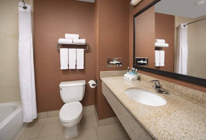 스탠다드 룸, Holiday Inn Express & Suites By Ihg Chambersburg, An Ihg