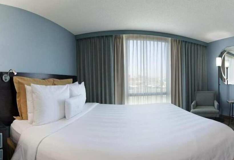 Standard Værelse, Crowne Plaza Hotel Glen Ellyn/lombard, An Ihg