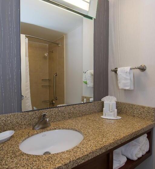 غرفة قياسية سرير كينج لذوى الإحتياجات الخاصة, Courtyard Columbia Downtown At Usc