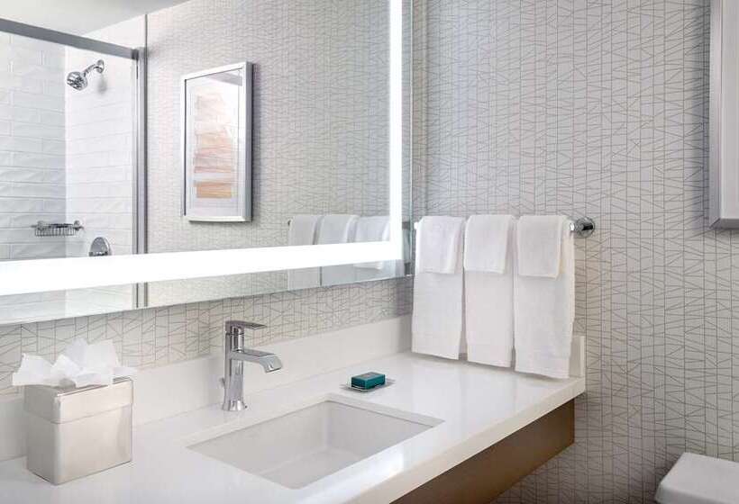 キングサイズベッドのスタンダードルーム, Doubletree By Hilton Washington Dc Silver Spring