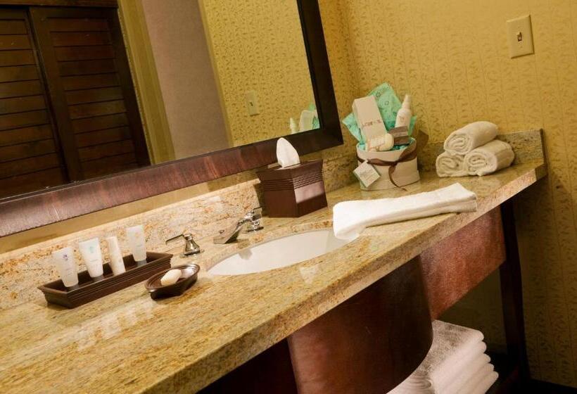 Классический Номер, Glenwood Hot Springs Resort