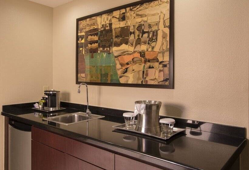 Suite, Hilton Houston Plaza/medical Center