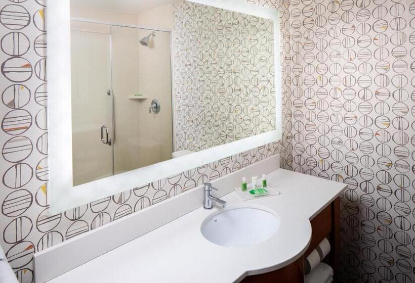 장애인을 위한 킹사이즈 침대 스탠다드 룸, Holiday Inn Charlottesville Monticello, An Ihg