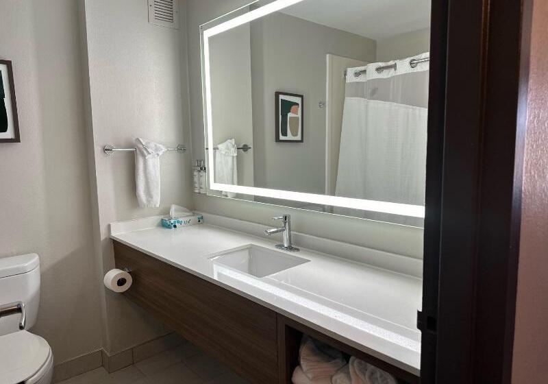 Номер Стандарт, Holiday Inn Roanoke   Tanglewood Route 419 & I 581, An Ihg