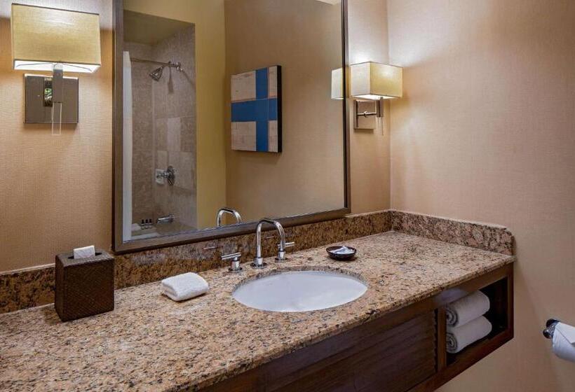 Номер Стандарт 2 Двуспальные Кровати, Hyatt Regency Greenwich