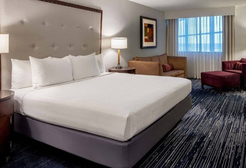اتاق لوکس, Sonesta Hotel Houston Iah Airport