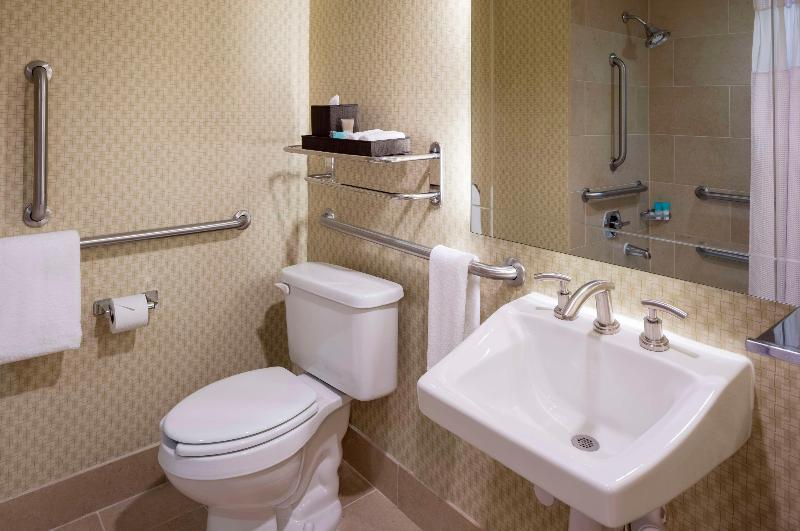 اتاق استاندارد با تخت بزرگ, Sonesta Hotel Houston Iah Airport