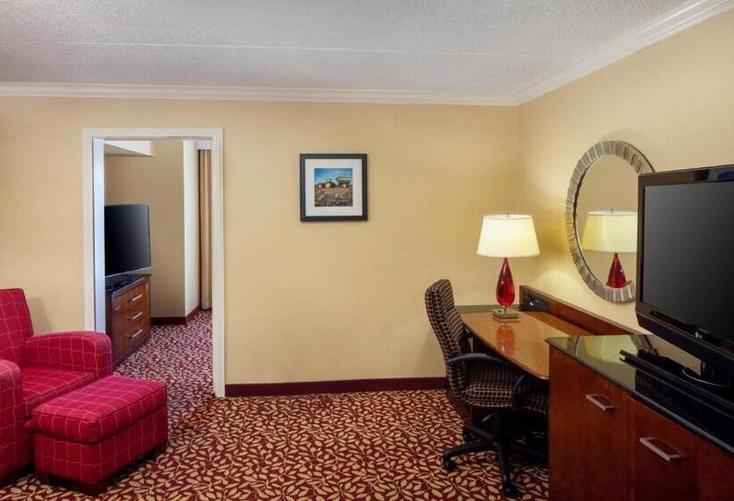 Suite Łóżko King Size, Indianapolis Marriott East