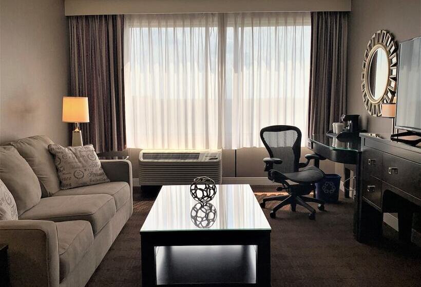 이그제큐티브 스위트, Sheraton Lisle Naperville