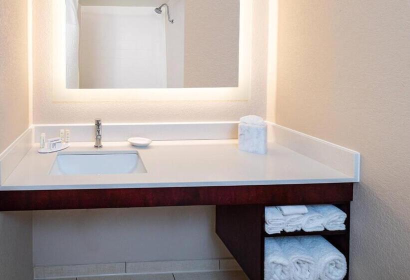 Люкс Кровать Кинг, Springhill Suites Houston Medical Center / Nrg Park