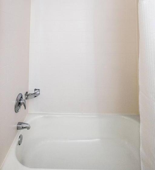 Люкс, Springhill Suites Houston Medical Center / Nrg Park