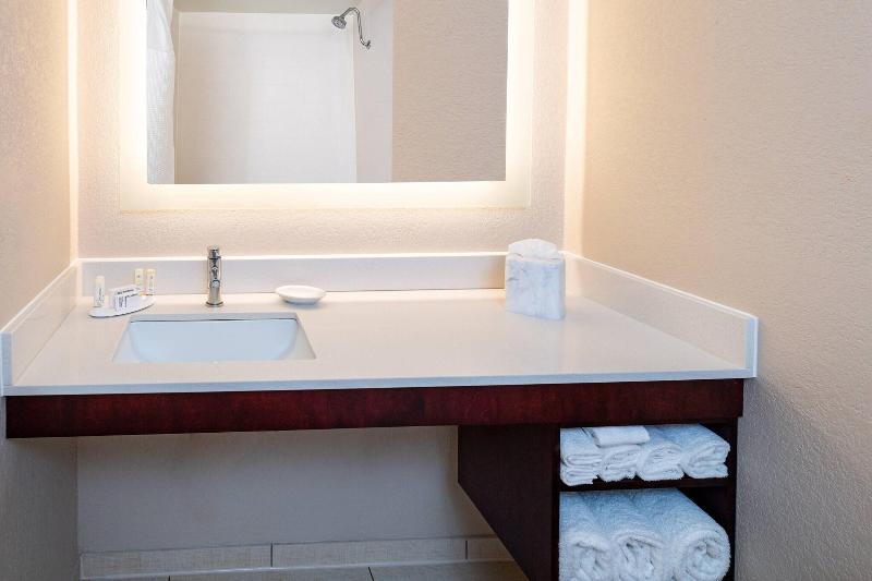 Люкс Кровать Кинг, Springhill Suites Houston Medical Center / Nrg Park