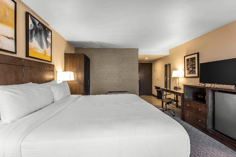 Quarto Estandar Cama King para Deficientes Físicos, Voco Laguna Hills
