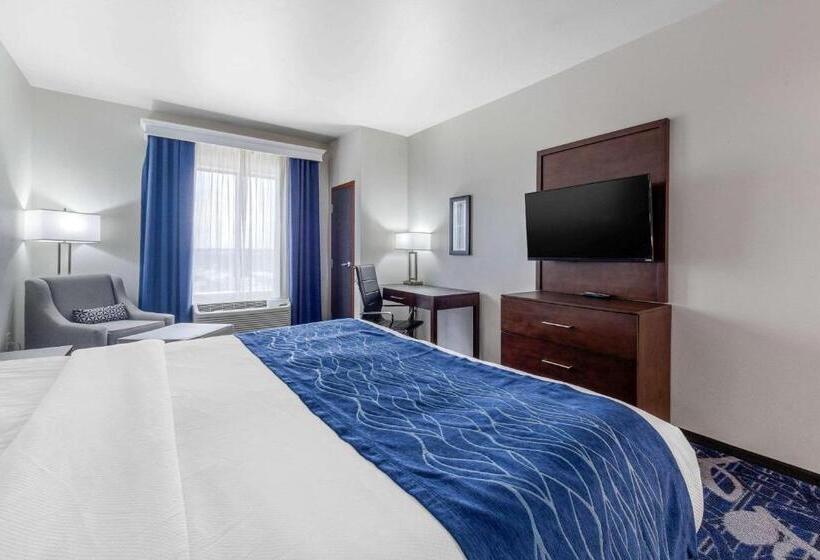 اتاق استاندارد با تخت بزرگ, Comfort Inn & Suites Oklahoma City South I 35