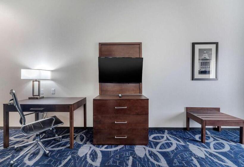 سوئیت با تخت بزرگ, Comfort Inn & Suites Oklahoma City South I 35