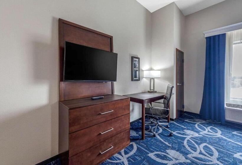 اتاق استاندارد, Comfort Inn & Suites Oklahoma City South I 35