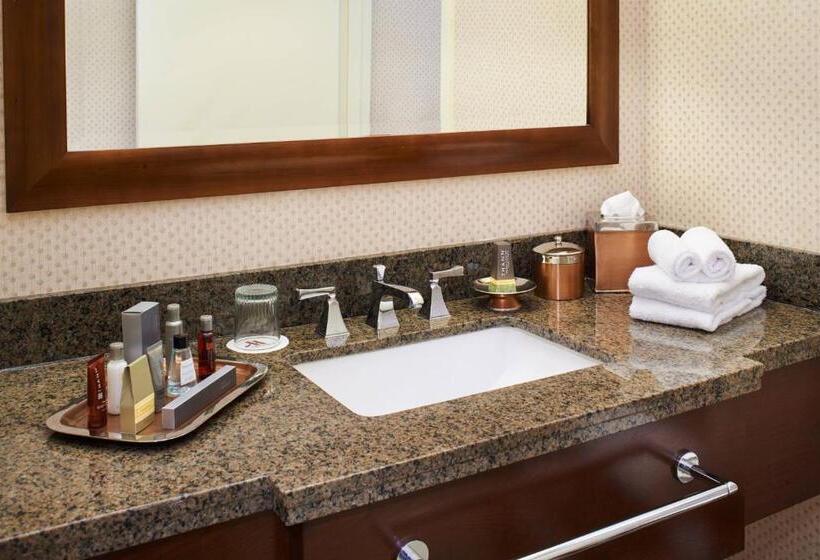 Номер Стандарт 2 Двуспальные Кровати, Detroit Marriott Livonia