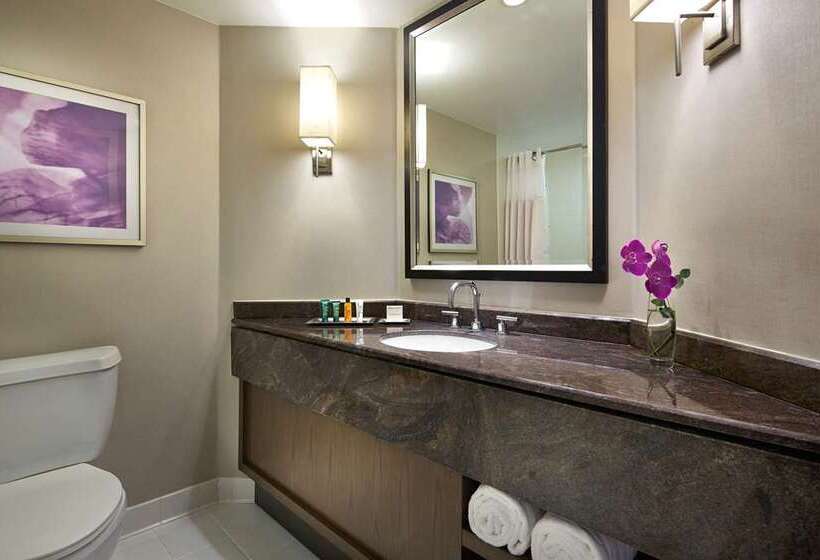 디럭스 룸, Hilton Washington Dc National Mall The Wharf