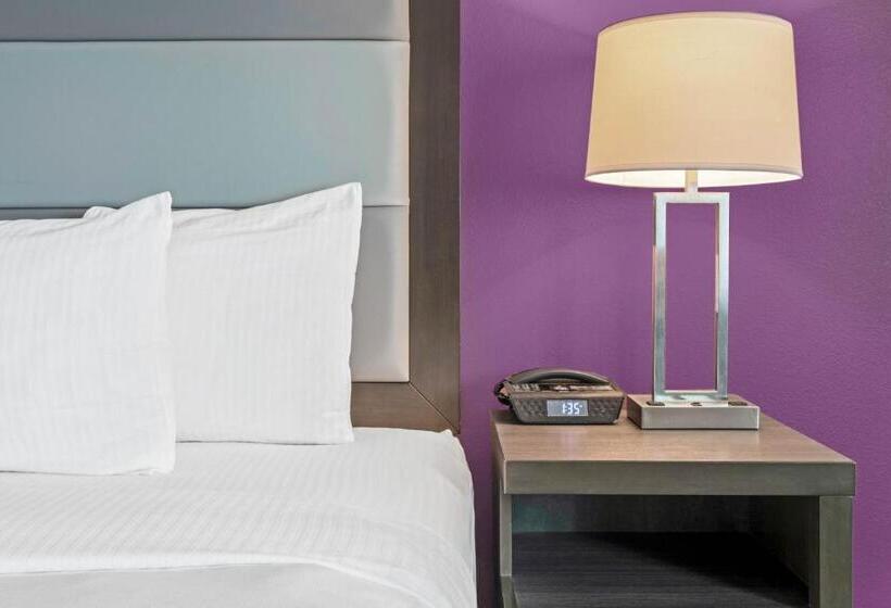 身障者適用スタンダードルーム, La Quinta By Wyndham Mcallen La Plaza Mall