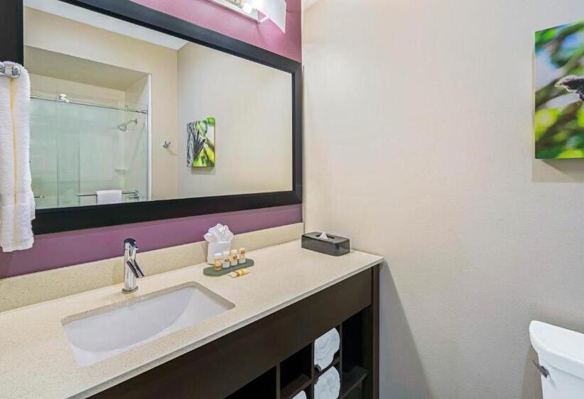 身障者適用キングサイズベッドルーム, La Quinta By Wyndham Mcallen La Plaza Mall