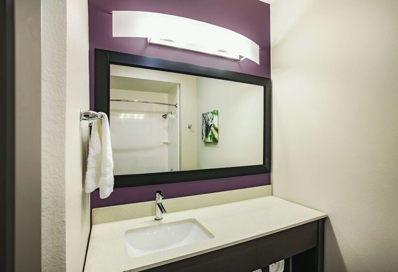 デラックススイート, La Quinta By Wyndham Mcallen La Plaza Mall