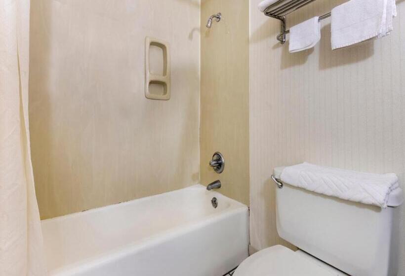 Deluxe Szoba, Mansion View Inn & Suites