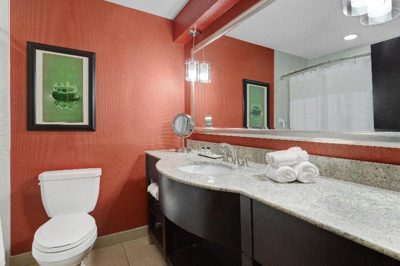 身障者適用キングサイズベッドルーム, Crowne Plaza Houston Galleria Area, An Ihg