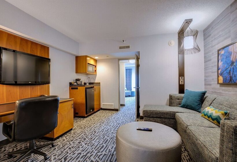 Президентский Люкс, Doubletree Suites By Hilton Htl & Conf Cntr Downers Grove