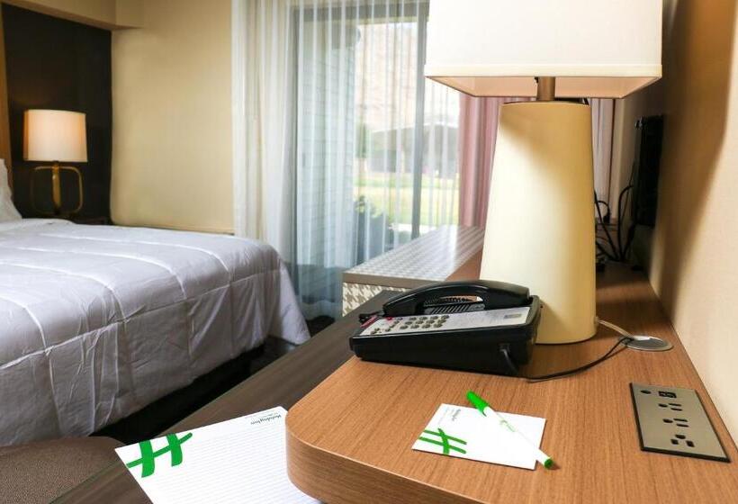 스탠다드 룸 킹사이즈 침대, Holiday Inn   Clarkston   Lewiston, An Ihg
