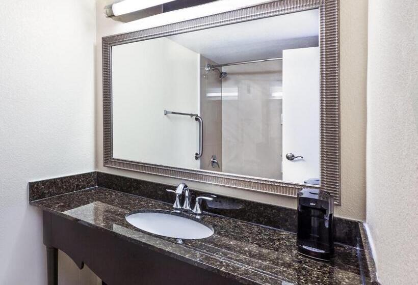 Номер Стандарт Вид на Бассейн, Holiday Inn Tyler   Conference Center, An Ihg