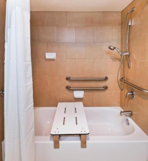 Номер Стандарт Адаптированный для Инвалидов, Holiday Inn Tyler   Conference Center, An Ihg
