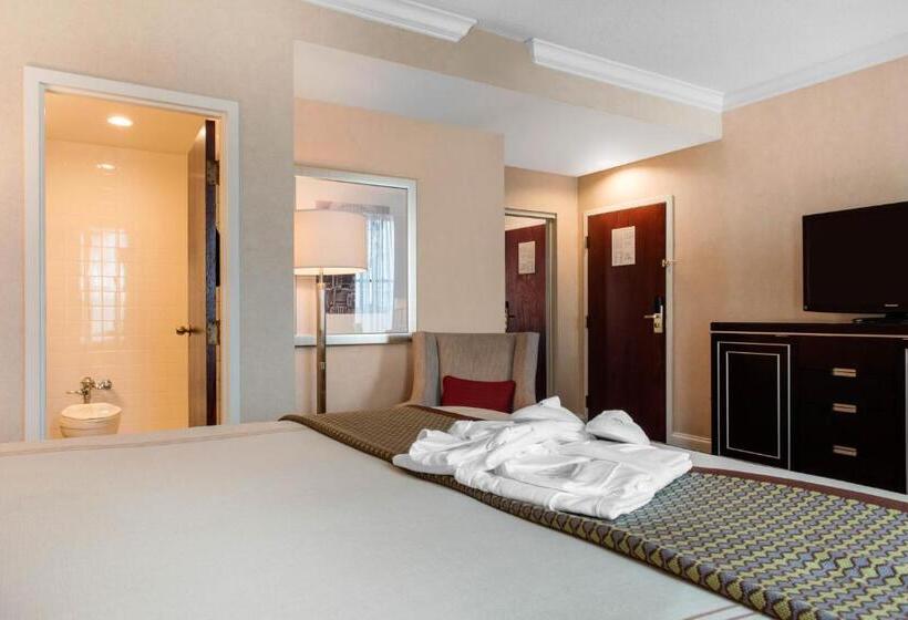 Deluxe Kamer Aangepast voor Gehandicapten, Omni Severin