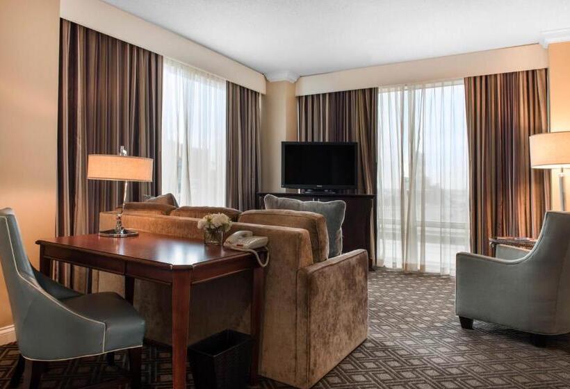 Suite met Kingsize Bed, Omni Severin