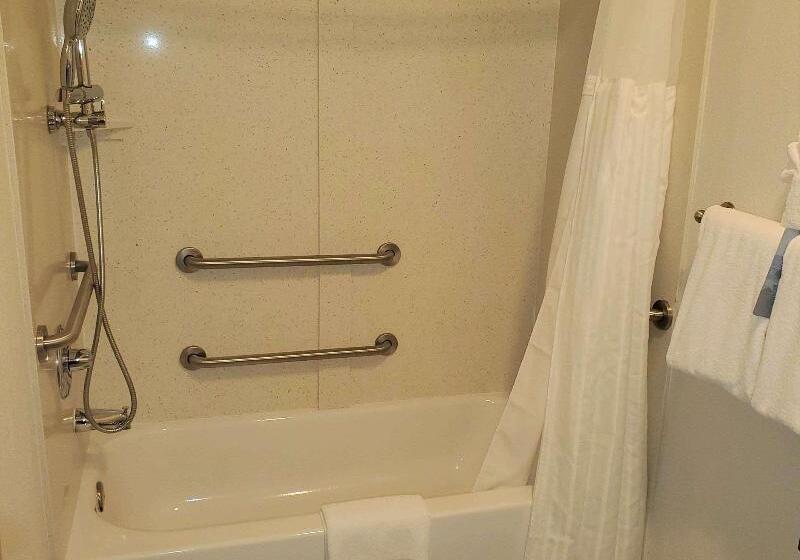 Номер Премиум, Radisson Hotel Colorado Springs Airport