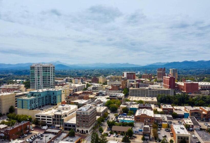 اتاق استاندارد با تخت بزرگ, Renaissance Asheville Downtown
