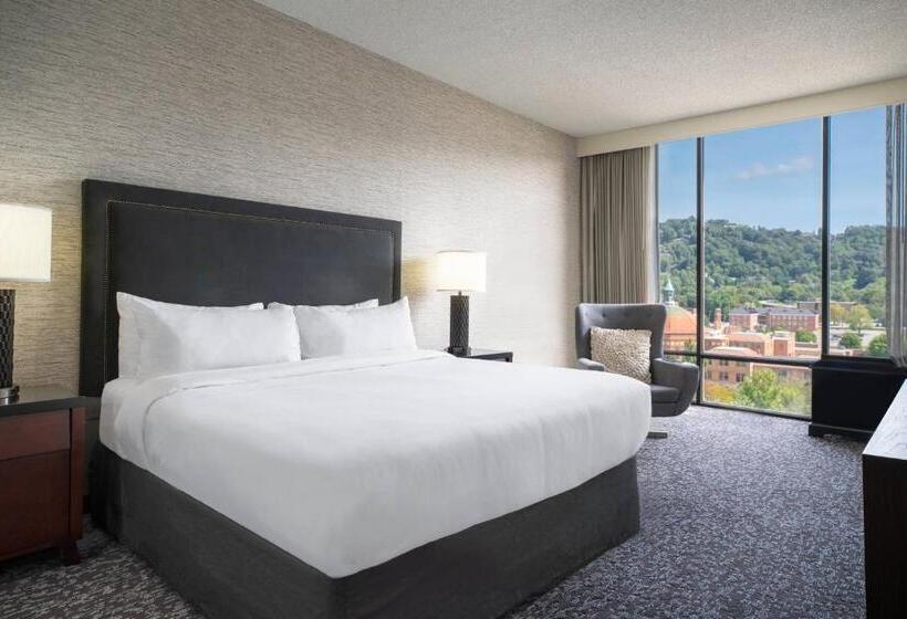 اتاق استاندارد با تخت بزرگ, Renaissance Asheville Downtown