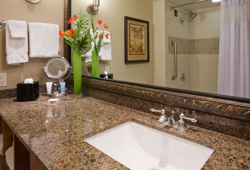 Номер Стандарт, Crowne Plaza Minneapolis West, An Ihg