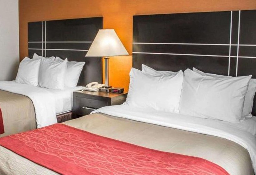 Номер Стандарт 2 Двуспальные Кровати, Norwood Inn & Suites North Conference Center